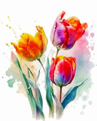 Colorful Tulips Paint By Number