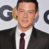 Cory Monteith Paint By Numbers