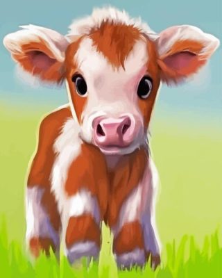 Cow Baby Paint By Numbers