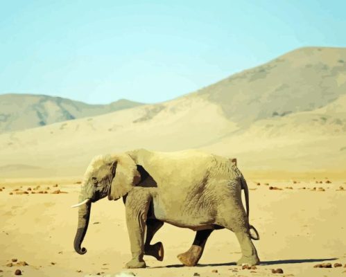 Desert Elephant Paint By Number