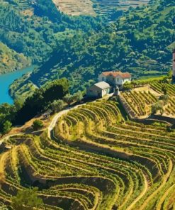 Douro Valley Portugal Paint By Number
