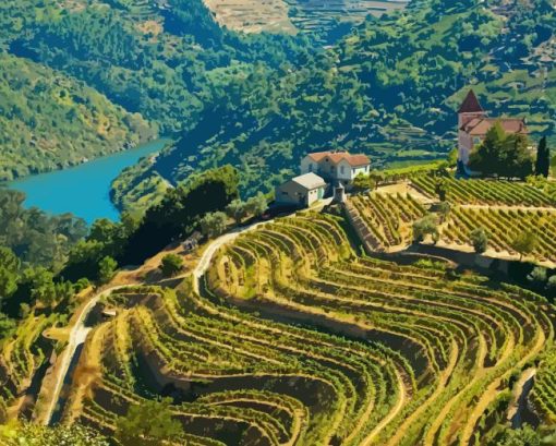 Douro Valley Portugal Paint By Number