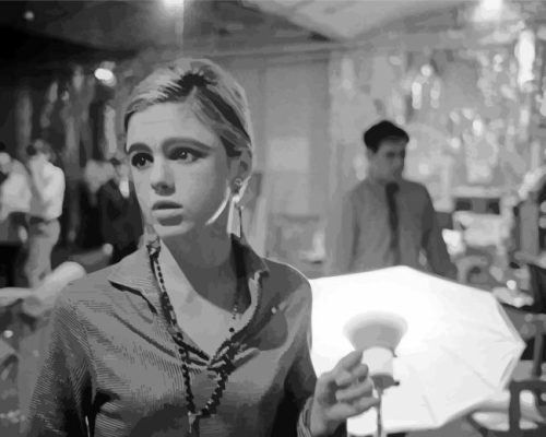 Edie Sedgwick Paint By Number