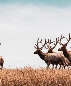 Elk Herds Paint By Number