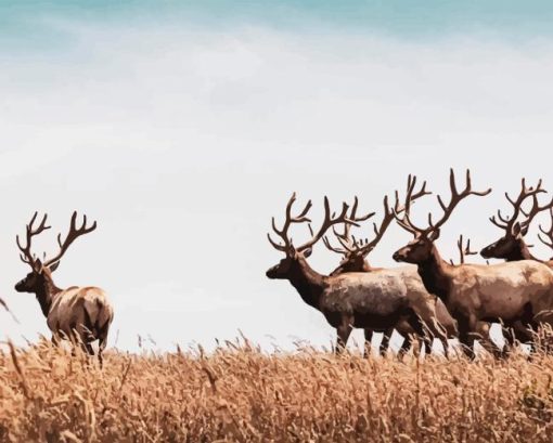 Elk Herds Paint By Number