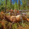Elk Hunters Paint By Number