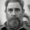 Fidel Castro Politician Paint By Number