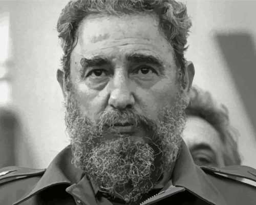 Fidel Castro Politician Paint By Number