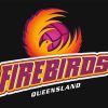 Firebirds Netball Paint By Numbers
