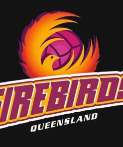 Firebirds Netball Paint By Numbers