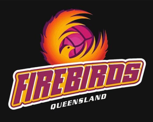 Firebirds Netball Paint By Numbers