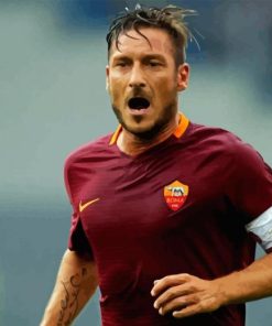 Francesco Totti Paint By Numbers