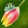 Frog On A Tulip Paint By Numbers