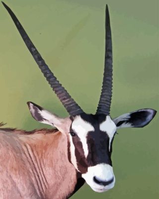 Gemsbok Paint By Number