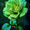 Green Rose Art Paint By Number