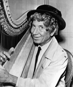 Harpo Marx Paint By Number