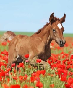 Horses And Red Flowers Paint By Number