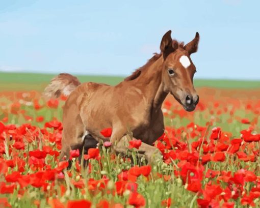 Horses And Red Flowers Paint By Number