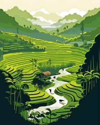 Illustration Rice Terraces Paint By Number