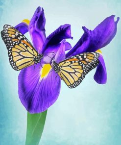 Irises And Butterflies Paint By Numbers