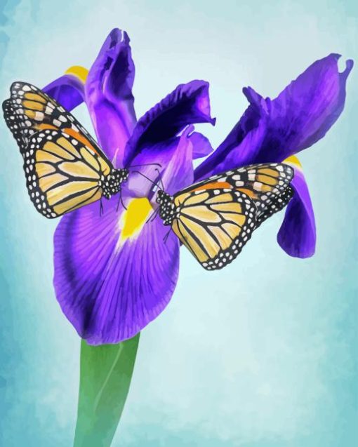 Irises And Butterflies Paint By Numbers