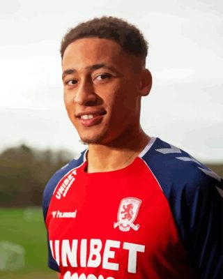 James Tavernier Paint By Number