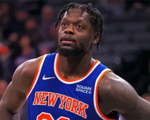 Julius Randle New York Knicks Paint By Numbers