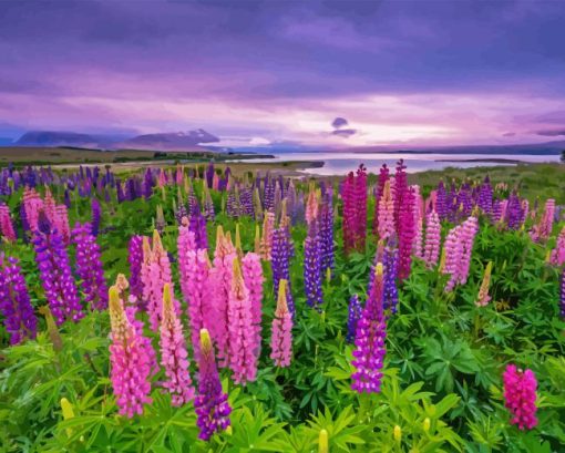 Lupines Field Landscape Paint By Numbers