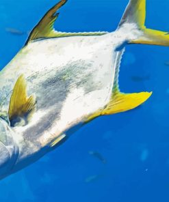 Pompano Fish Underwater Paint By Numbers