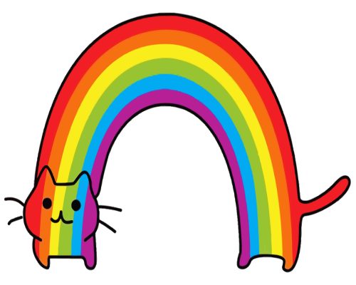 Rainbow Cat Art Paint By Number