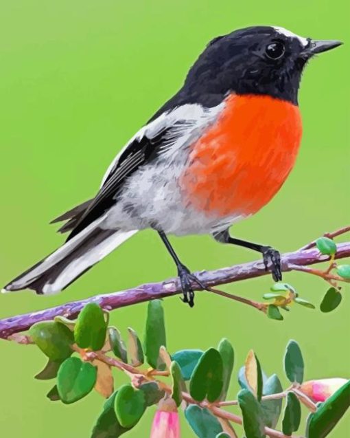 Scarlet Robin On Tree Paint By Number