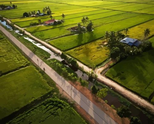 Sekinchan Padi Fields Paint By Numbers