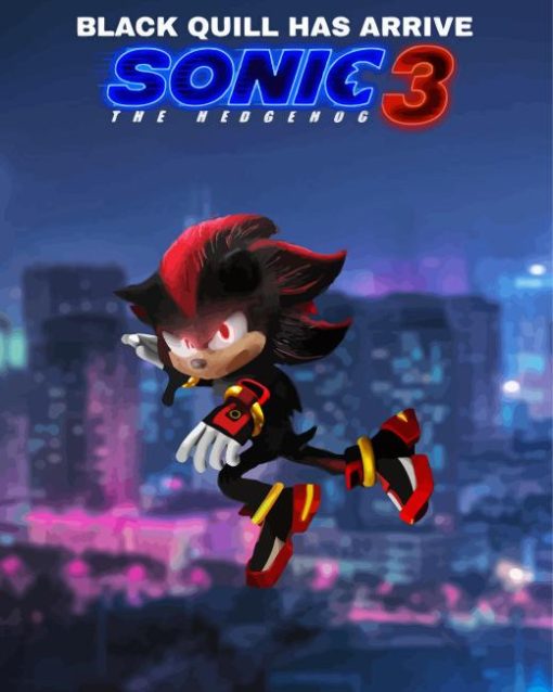 Shadow Sonic Poster Paint By Number