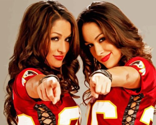 The Bella Twins Paint By Number