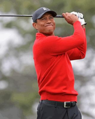 Tiger Woods Paint By Number