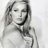Black And White Ursula Andress Paint By Number