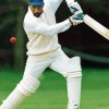 Viv Richards Cricket Player Paint By Number