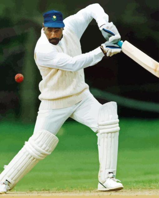 Viv Richards Cricket Player Paint By Number