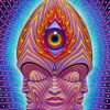 Abstract Art Alex Grey Paint By Number