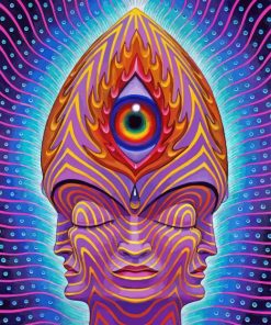 Abstract Art Alex Grey Paint By Number