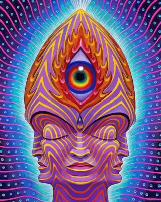 Abstract Art Alex Grey Paint By Number