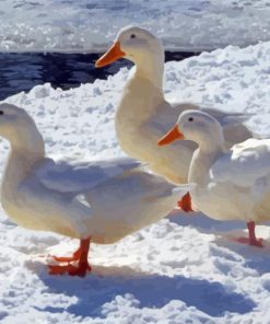 American Pekin Ducks In Snow Paint By Numbers