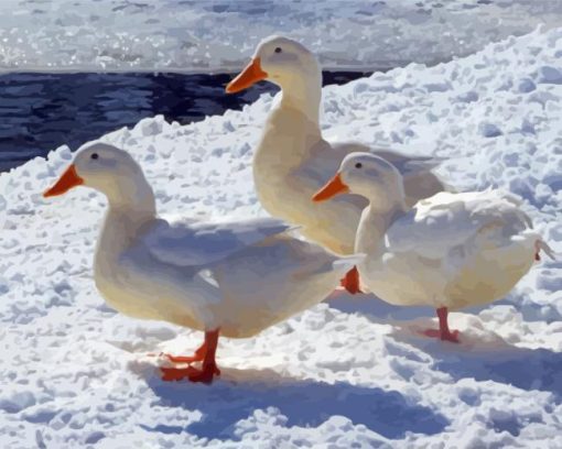 American Pekin Ducks In Snow Paint By Numbers