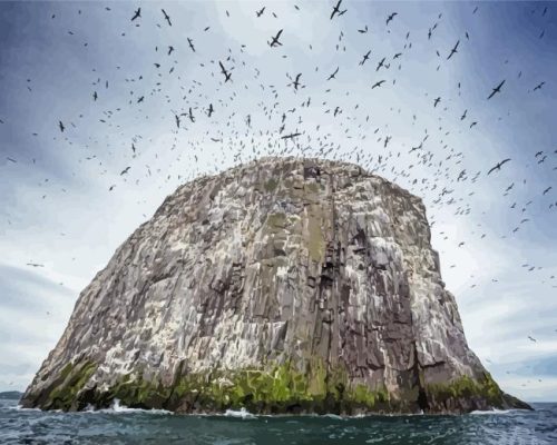 Bass Rock North Berwick Paint By Numbers