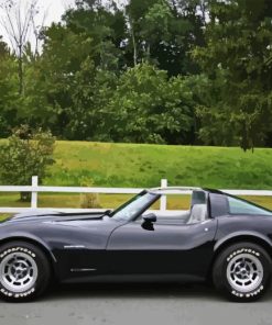 Black 82 Corvette Car Paint By Numbers