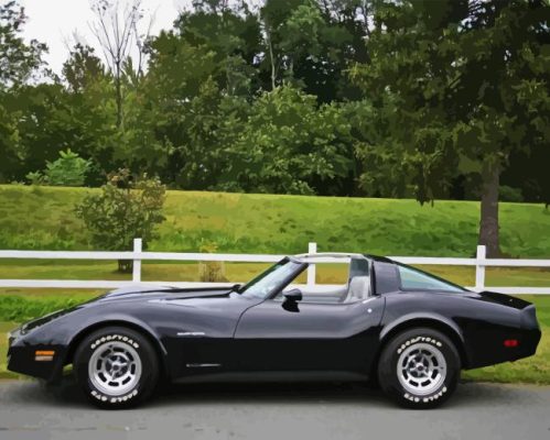 Black 82 Corvette Car Paint By Numbers