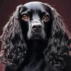 Black English Spaniel Paint By Numbers