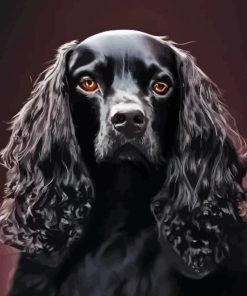 Black English Spaniel Paint By Numbers