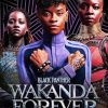 Black Panther Wakanda Poster Paint By Number