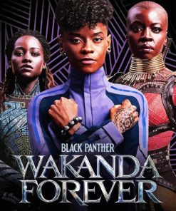 Black Panther Wakanda Poster Paint By Number